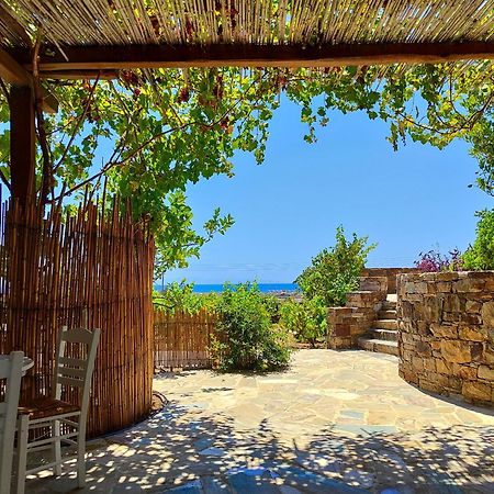 Kyma Apartments - Naxos Agios Prokopios Eksteriør bilde