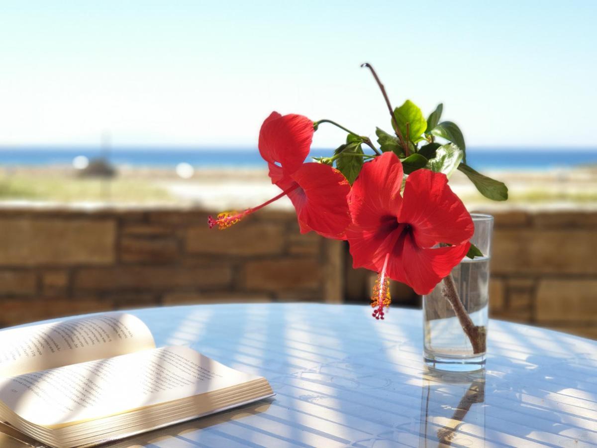 Kyma Apartments - Naxos Agios Prokopios Eksteriør bilde