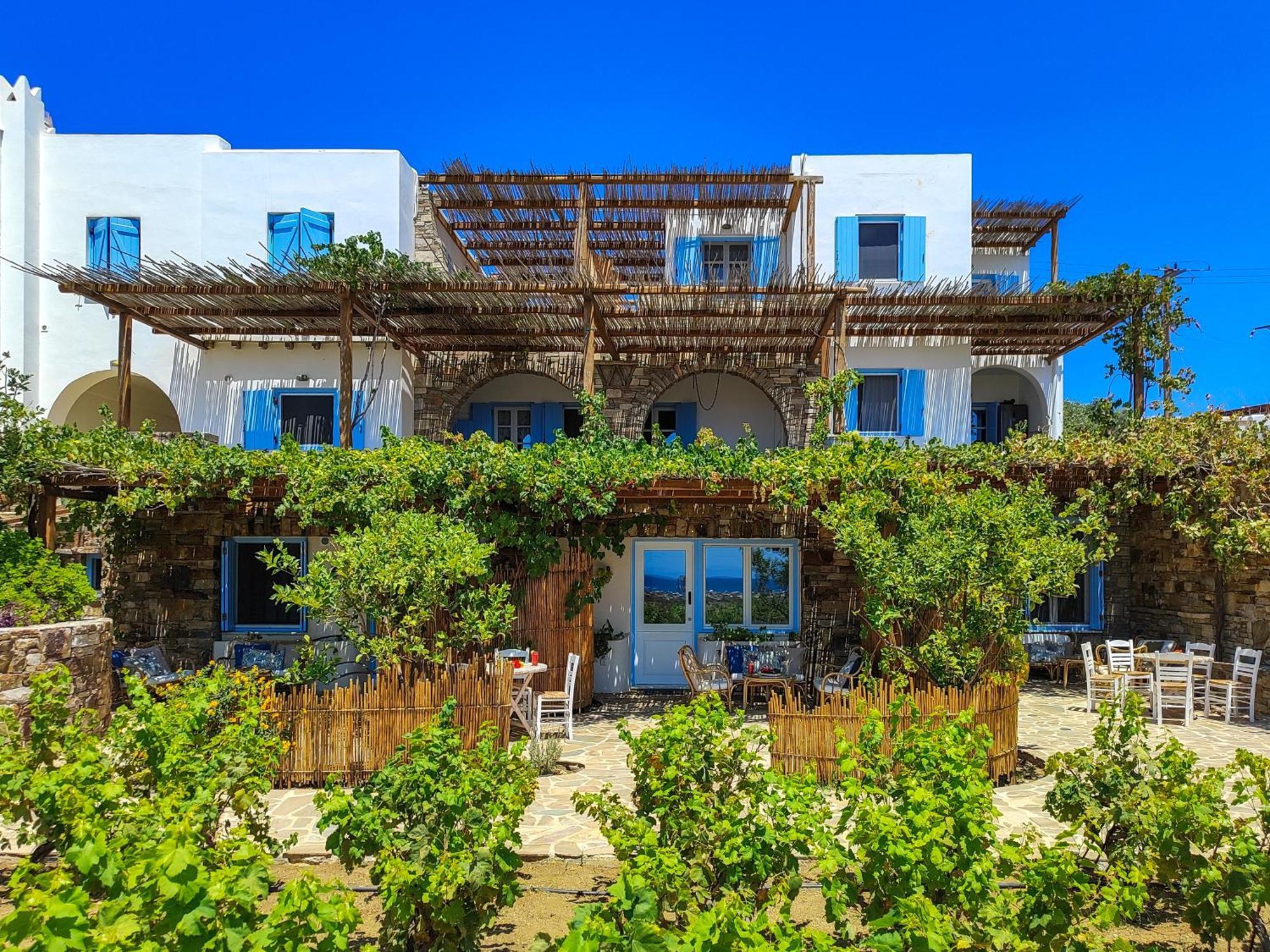 Kyma Apartments - Naxos Agios Prokopios Eksteriør bilde